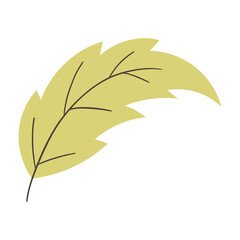 leaf vector illustration