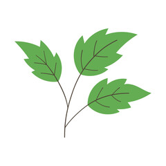 green leaves vector illustration
