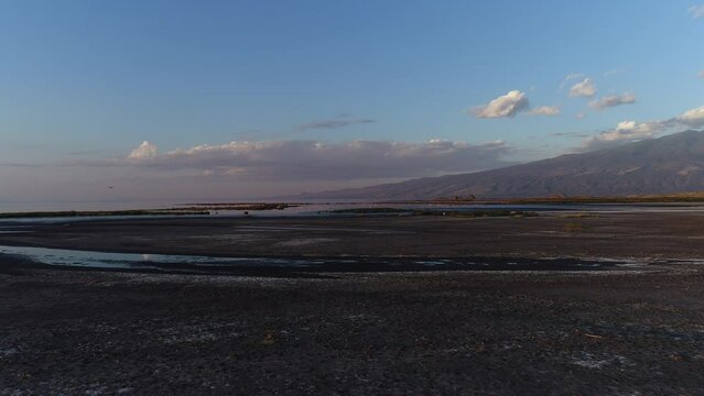Drone flight over Lake Natron, Tanzania, Africa Flamingos, Phoenicopteridae, Africa