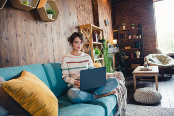Full body photo of nice young lady sitting comfy couch use wireless laptop coworking chatting...