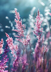 Little grass stem close-up with sunset over calm sea, sun going down over horizon. Pink and purple pastel watercolor soft tones. Beautiful nature background. Vertical portion.