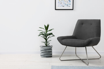 Comfortable armchair and houseplant near white wall indoors, space for text. Interior design - obrazy, fototapety, plakaty