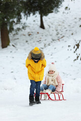 Fototapeta na wymiar Little boy pulling sledge with his sister through snow in winter park