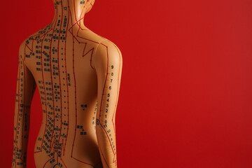 Acupuncture - alternative medicine. Human model with dots and lines on red background, space for...