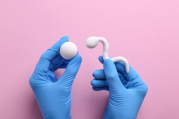 Reproductive medicine. Fertility specialist in gloves holding figures of sperm and egg cells on...