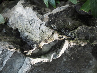 Close up or rocks in nature