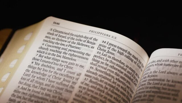 The Bible-New Testament Paul to Colossians title page