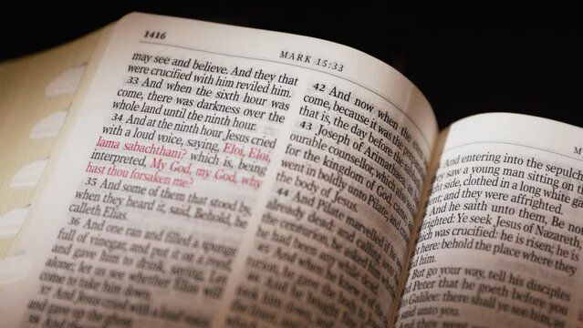 The Bible-New Testament Saint Luke title page