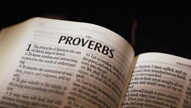 The Bible-The Old Testament Proverbs title