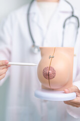 Doctor holding Breast Anatomy model. Breast Augmentation Surgery, October Breast Cancer Awareness...