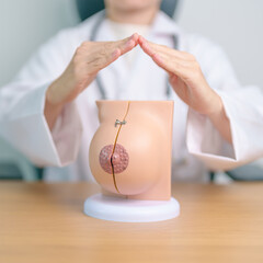 Doctor hand cover Breast Anatomy model. Breast Augmentation Surgery, October Breast Cancer...