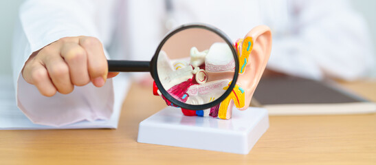 Doctor with human Ear anatomy model with magnifying glass. Ear disease, Atresia, Otitis Media, Pertorated Eardrum, Meniere syndrome, otolaryngologist, Ageing Hearing Loss, Schwannoma and Health