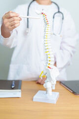 Doctor with human Spine anatomy model. Spinal Cord Disorder and disease, Back pain, Lumbar, Sacral...