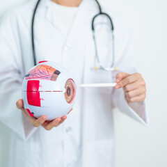 Doctor with human Eye anatomy model with magnifying glass. Eye disease, Refractive Errors, Age...