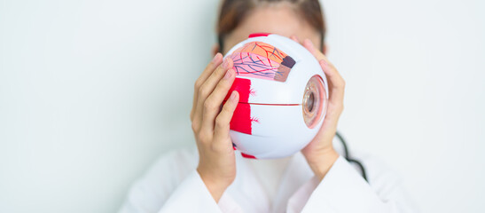 Doctor with human Eye anatomy model with magnifying glass. Eye disease, Refractive Errors, Age Related Macular Degeneration, Cataract, Diabetic Retinopathy, Glaucoma, Amblyopia, Strabismus and Health