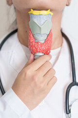 Doctor with human Thyroid anatomy model. Hyperthyroidism, Hypothyroidism, Hashimoto Thyroiditis,...