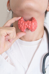 Doctor with human Thyroid anatomy model. Hyperthyroidism, Hypothyroidism, Hashimoto Thyroiditis,...
