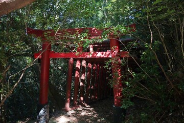 森の中の神社　廃神社　