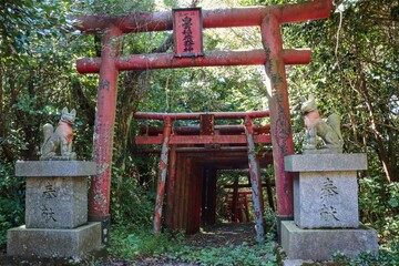 森の中の神社　廃神社　