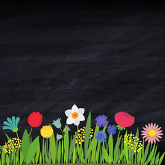 Black chalk board background spring flower border