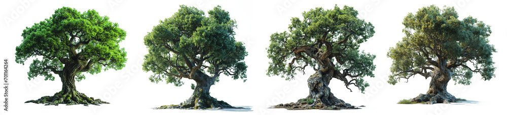 Poster set of trees isolated