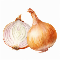 onion watercolor
