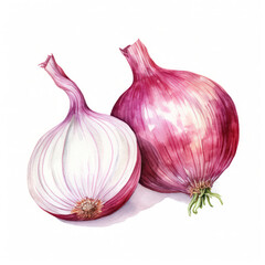 onion watercolor
