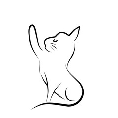 Cat Line Vector Illustration 