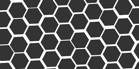 Abstract white and black hexagon technology lines background. Abstract white and grey color hexagonal geometric background with copy space. Abstract white lines background.