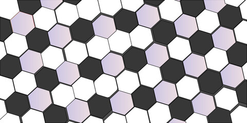 Abstract white and black hexagon technology lines background. Abstract white and grey color hexagonal geometric background with copy space. Abstract white lines background.