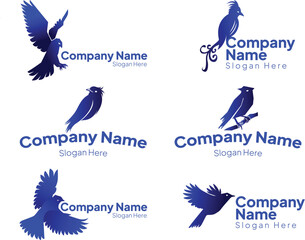 Logo Bird with gradient style color for business