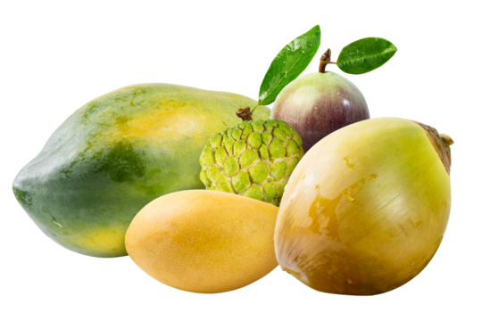 Pile of various types of fresh fruits (Mango, Coconut, Papaya, Purple Star Apple Fruit and Sugar Apple)