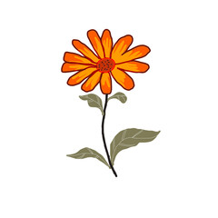 Flowers design illustration simple