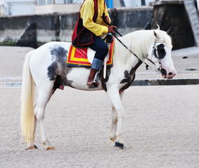 Horses on the beach, raising horses in the community way along the beach Horses living by the sea...