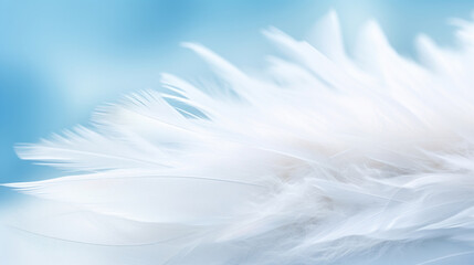 Fototapeta na wymiar Close-up of soft white feathers creating a delicate and light texture with a sense of tranquility.