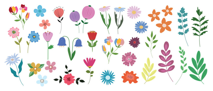 Vector set of flowers and twigs on a white background. Floral design elements.