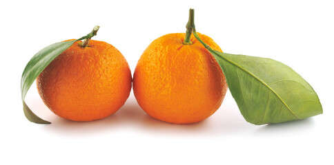 Two tangerines isolated on a white background. Organic tangerine with green leaf. Mandarin.