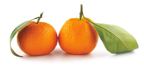 Two tangerines isolated on a white background. Organic tangerine with green leaf. Mandarin.