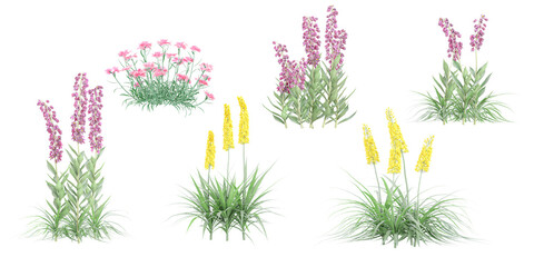 Digitalis,Giant Foxtail,Carnation flowers plants with transparent background, 3D rendering, for illustration, digital composition, architecture visualization
