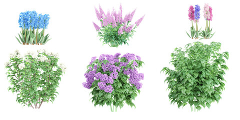 Heliotropium arborescens,hyacinths,Calycanthus chinensis,Astilbe Japonica,Viburnum flowers plants collection with realistic style
