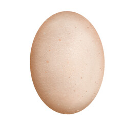Egg