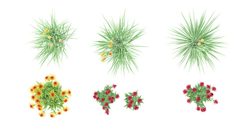 Set of Jungle Red hot poker,Orange Echinacea purpurea 'Big Kahuna' coneflower flowers trees 3D rendering form top. © Saifstock