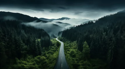 Foto op Plexiglas Aerial view of mountain road in green forest, Top view from drone of road in woods, Beautiful landscape with roadway in hills, pine trees, generative ai. © Sunshine