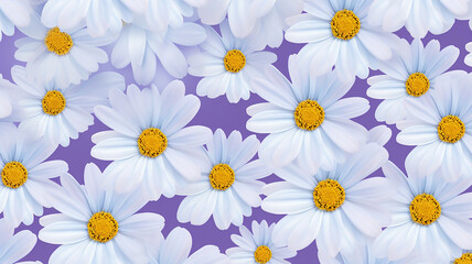 Fototapeta premium a purple and white daisy pattern