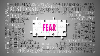 Fear - a complex subject, related to many concepts. Pictured as a puzzle and a word cloud made of most important ideas and phrases related to fear.,3d illustration