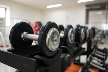 Dumbbells displayed in order of weight in a dumbbell rack