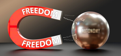 Freedom attracts Autonomy. A metaphor showing freedom as a big magnet that attracts autonomy. Cause and effect relationship between them.,3d illustration