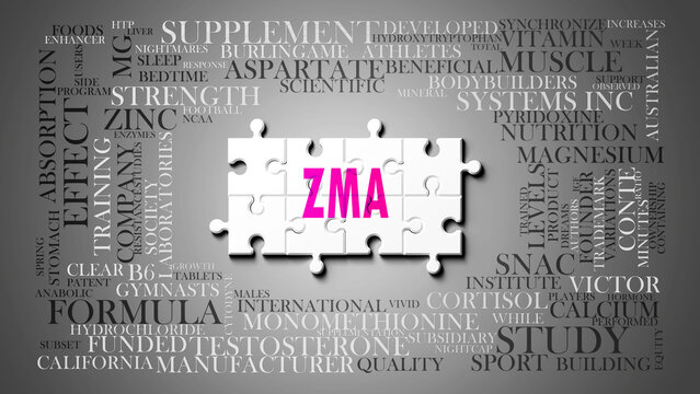 Zma - a complex subject, related to many concepts. Pictured as a puzzle and a word cloud made of most important ideas and phrases related to zma.,3d illustration