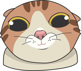 Smile Cat Meme Sticker