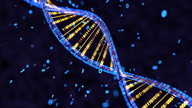 DNA 3D animation, Science and medicine concepts, Binary DNA molecule